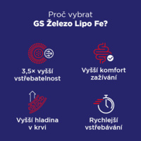 5_G10233_GS_FE_infografika_Benu_CZ_květen20255