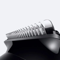 BRAZA422-10