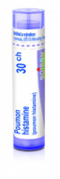 Poumon histamine 30.jpg