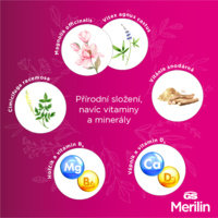 GS_MERILIN_banner_3