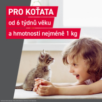 FRONTCONTROL_PG_CZ_CAT_06