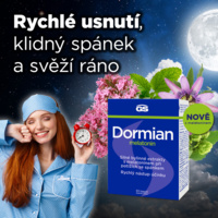 GS_Dormian_infografika_2