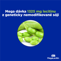 G9628_GS NEW MLE bannery_ƒerven20243
