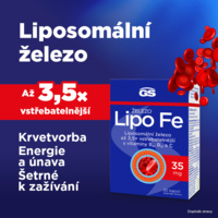 2_G10233_GS_LipoFE_infografika_Benu_CZ_květen20252