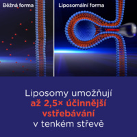 5_8595693302118_GS_Lipo_C_5
