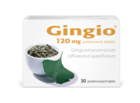 Gingio_120_30tbl_F_2025_nove_logo