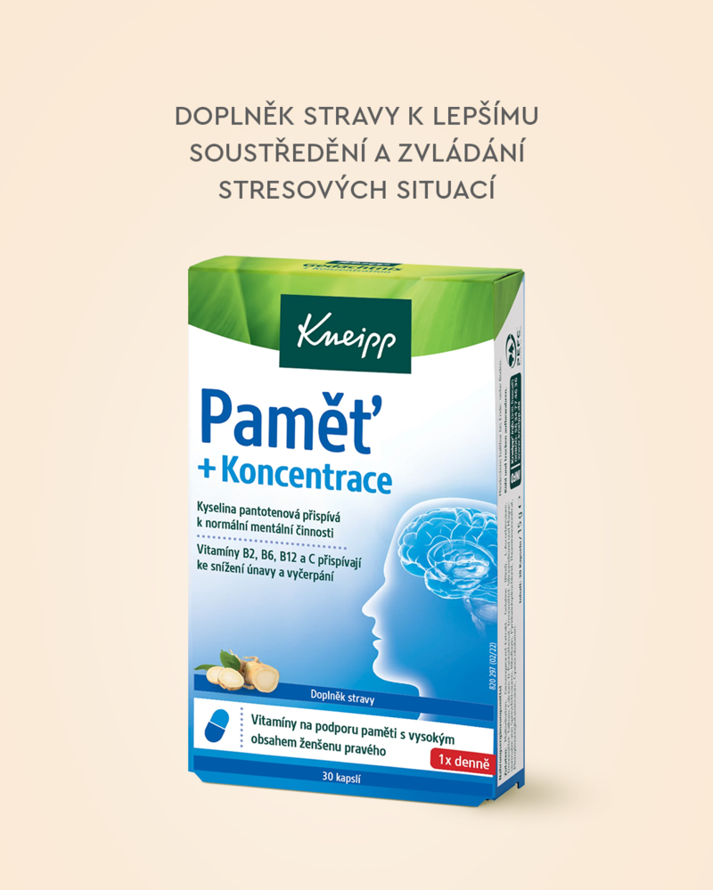 paměť_koncentrace_3