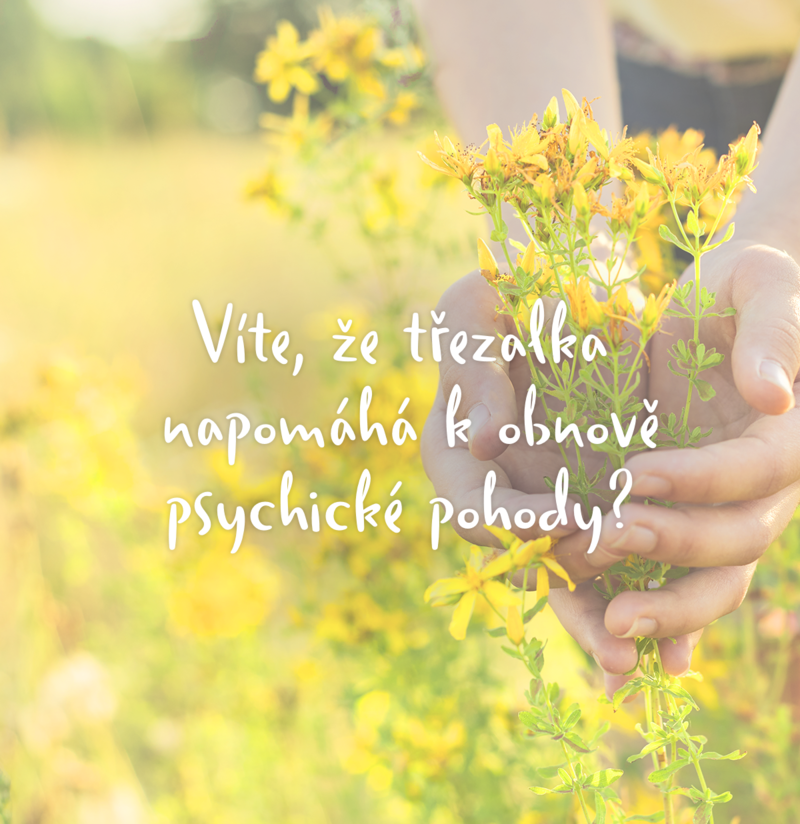 Kneipp_Třezalka_5