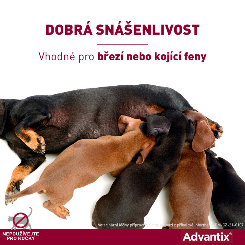 ADVANTIX vhodny pro brezi nebo kojici feny