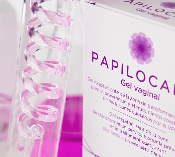 papilo-4-min