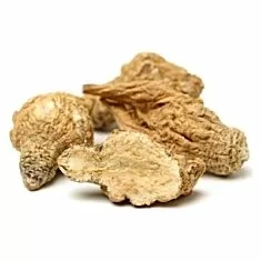 maca-235x235
