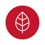 G10446_RED3 XXL_RC CZ_srpen20254
