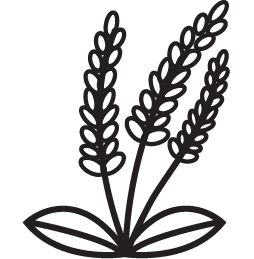 prirodna_biela@200x