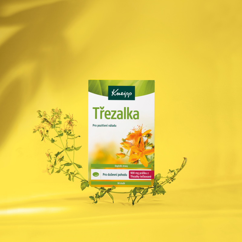 Třezalka_4_