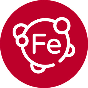 fe-forte-300x300
