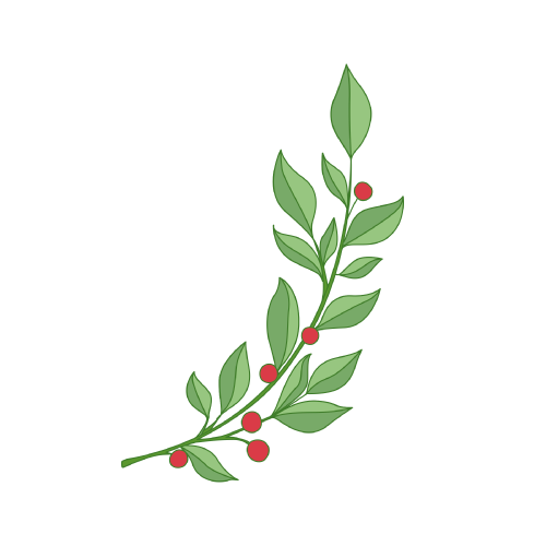 ingredientes-ruscus