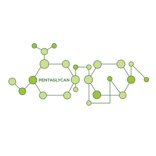 ingredientes-pentaglycan