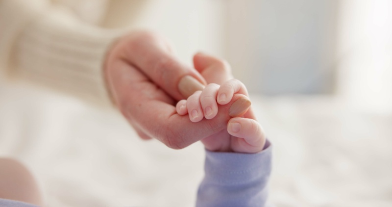 shutterstock_2416028885