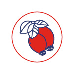 G10444_GS VIT C 500_XXL_RC_Benu_CZ_září2025_04