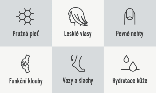 500x300-icons-02