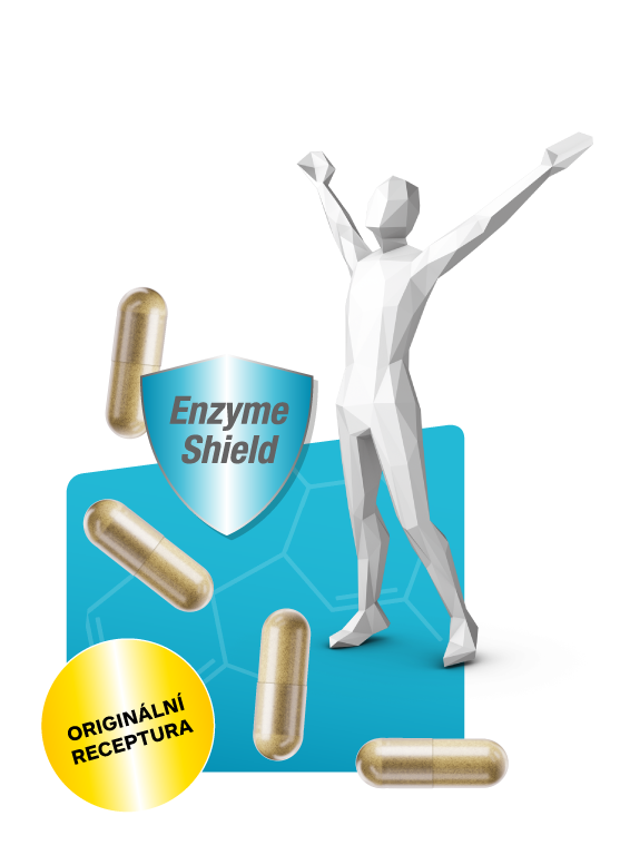 wobe-enzym-brand-web_v2_CZ