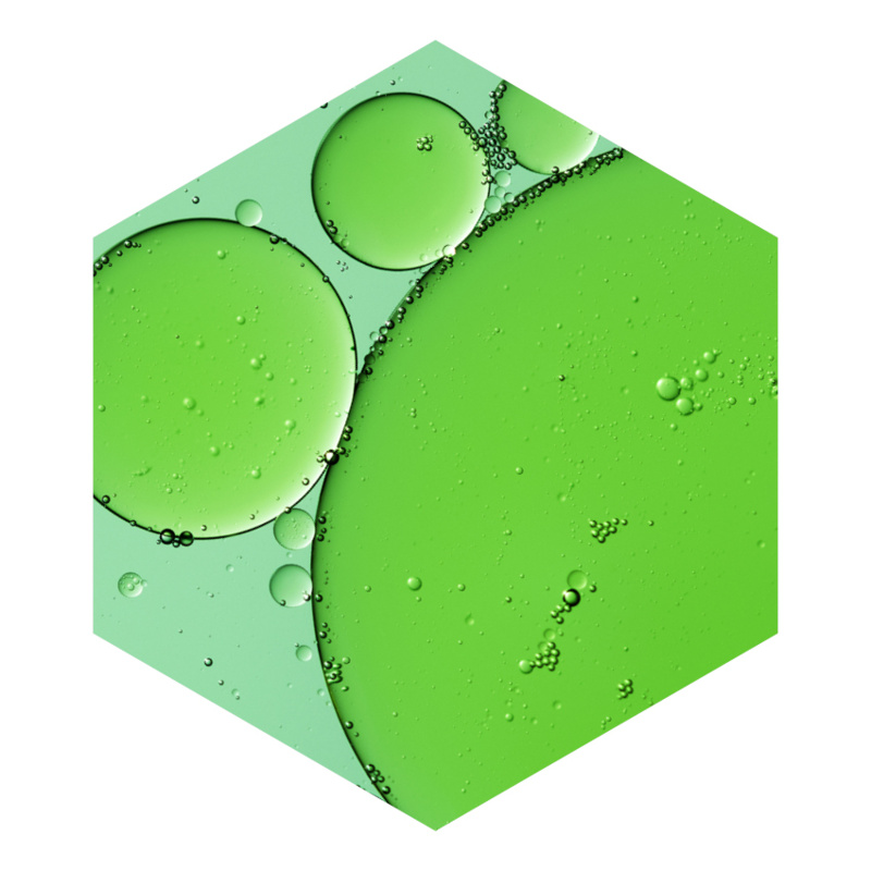 REVALID_benu_850x850_01_2025d