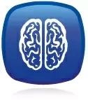 mozek-3