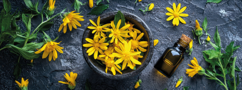 AdobeStock_979630290