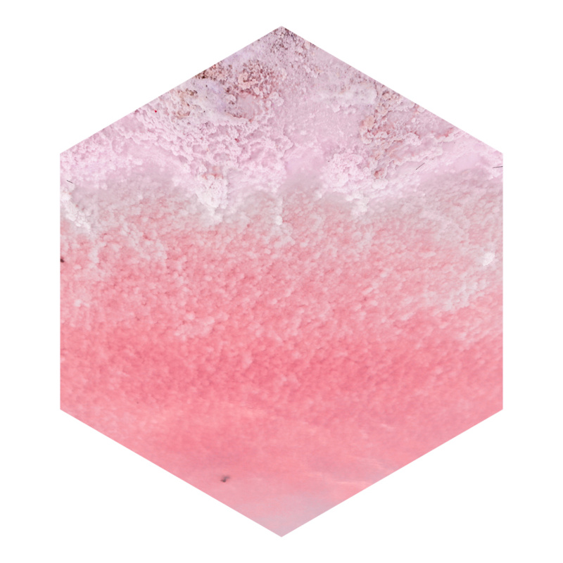 REVALID_benu_850x850_01_2025f