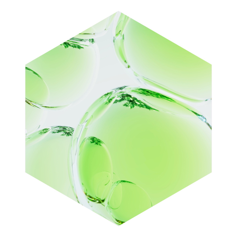 REVALID_benu_850x850_01_2025g
