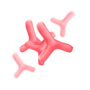 BIFIDUM_blank@2x-300x300