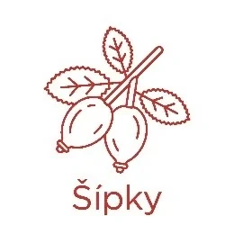 sipek-3