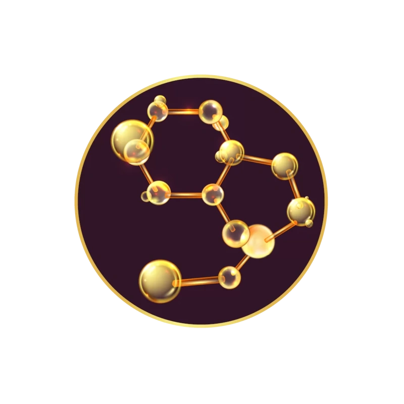 new-ela-web