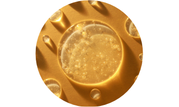 2A_ESSENTIN_trio