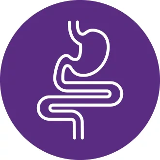 image29-fibre-icon