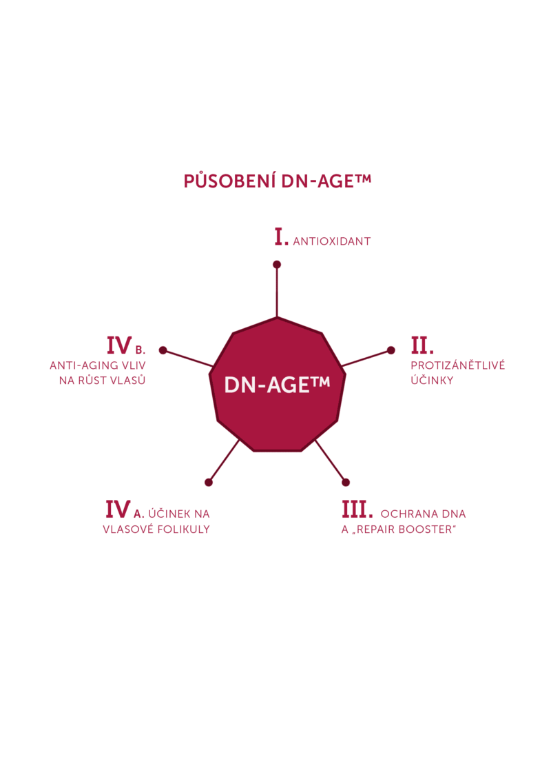 pusobeni_dna_age1360_x_1866