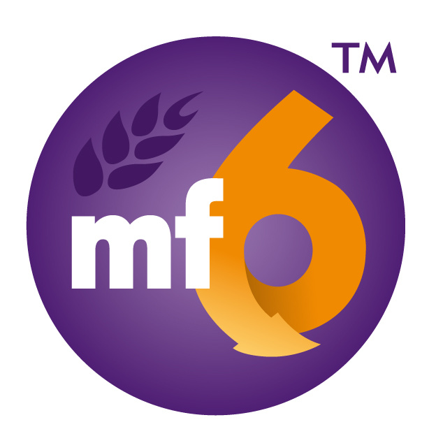 MF6 logo