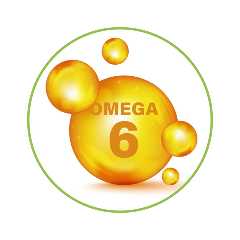 new-mle-web3