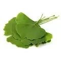 shutterstock-191765093