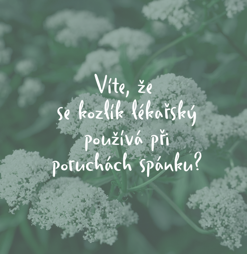 kozlíkplus_3