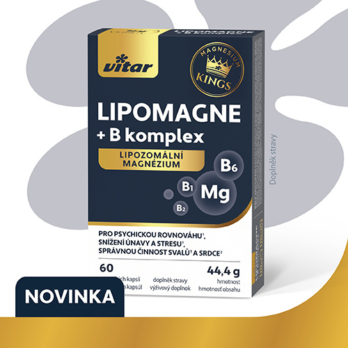 Vitar_KINGS_LIPOMAGNE_bannery_web_NL_tt_500 x 500