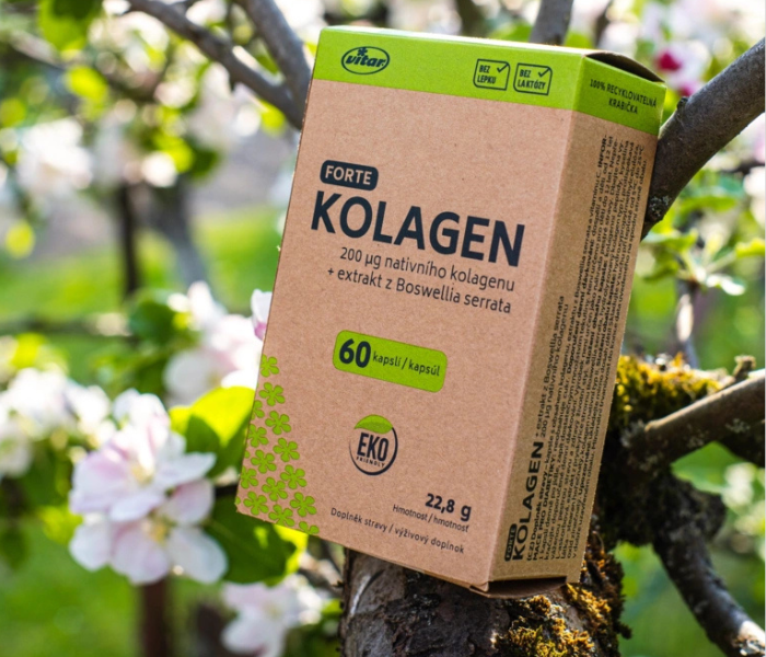 PR článek kolagen