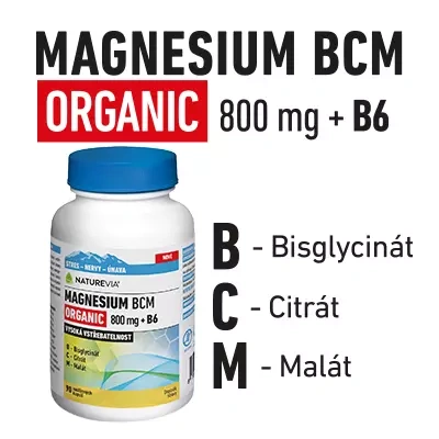 BCM-400x400-1