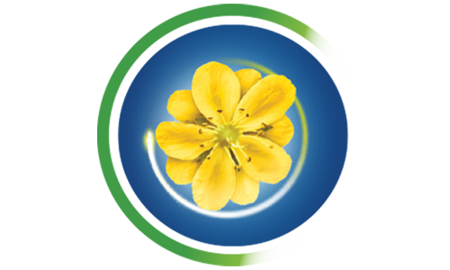 09_25_rich_content_banner-sirup-bylinky-repik-500x300px