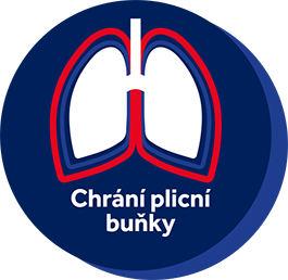 ikona_chrani_popis
