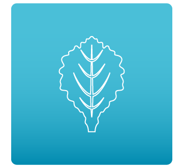 ikona