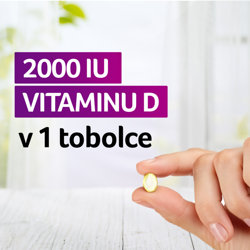 Vigantolvit_2000_Secondary_Image_03