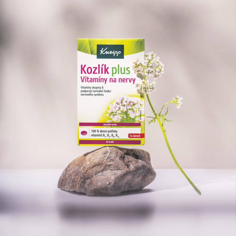 kozlíkplus_4_