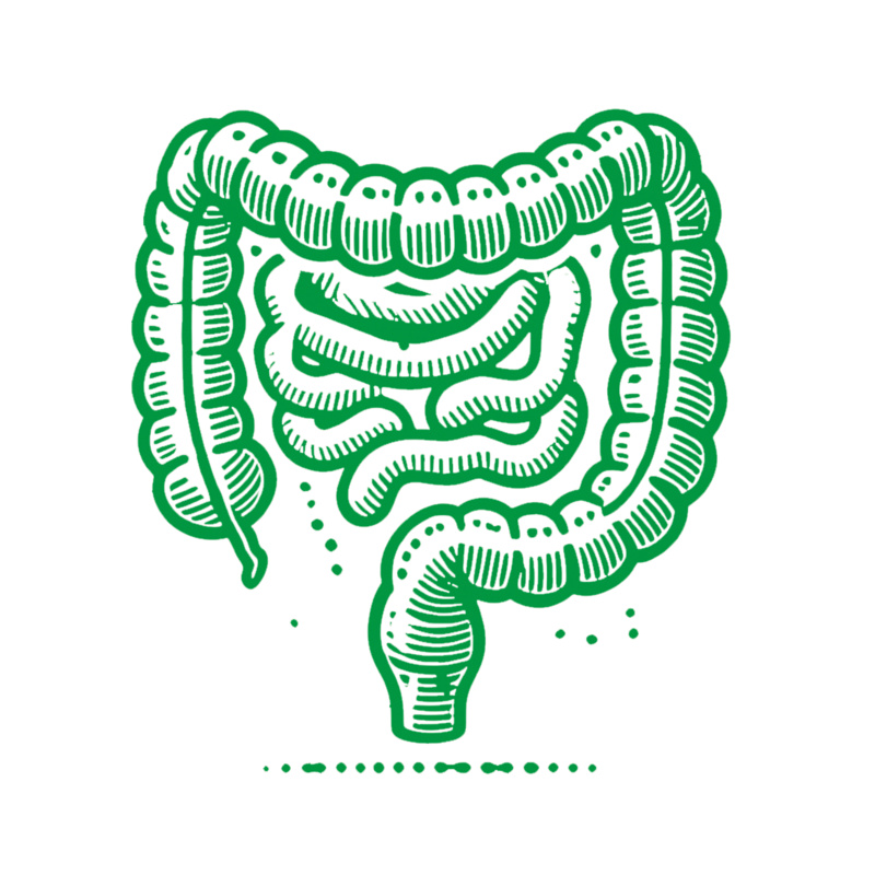 1a