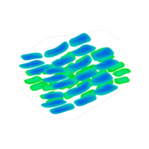 BIFIDUM_blank@2x-300x300 (1)